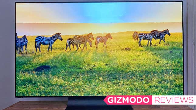 Image for article titled Vizio&#39;s OLED Is the Perfect TV if You Want Quality on a Budget