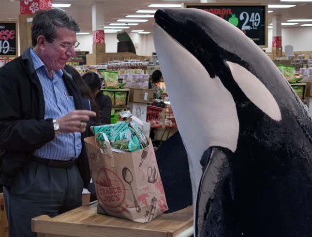 Image for article titled Furloughed SeaWorld Orca Trying To Make Ends Meet By Picking Up Trader Joe’s Shift