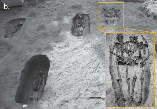 A photo taken of the skeletons soon after their discovery in 2009.