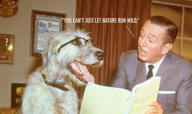 Image for article titled 8 Walt Disney Quotes That Are Actually Fake