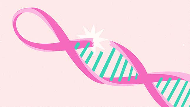 Image for article titled What No One Tells You About Your BRCA Mutation