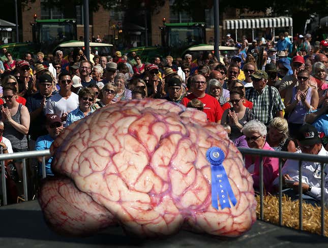 Image for article titled Ben Carson Wows Iowa State Fair Attendees With Massive 300-Pound Brain