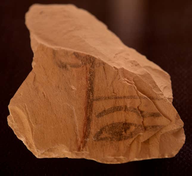 A limestone fragment discovered at a new excavation site at the Valley of the Monkeys.