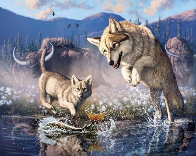 Imagen para el artículo titulado Un minero canadiense encuentra un cachorro de lobo de 57.000 años todavía cubierto de piel