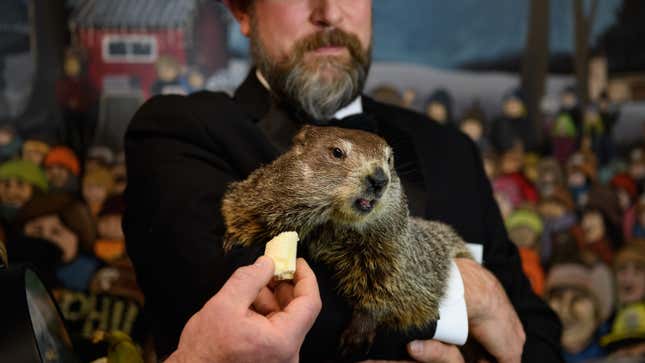 Image for article titled The Groundhog Is Clueless But I Respect Him Anyway