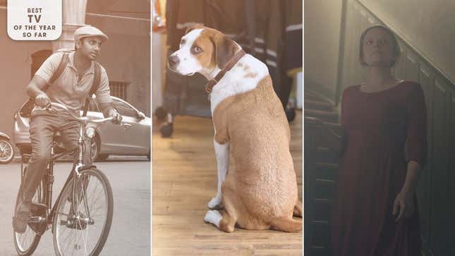 Master Of None (Photo: Ali Goldstein), Downward Dog (Photo: Brian Douglas/ABC), and The Handmaid’s Tale (Photo: George Kraychyk/Hulu). Image: Libby McGuire.