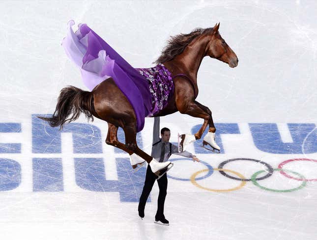 Image for article titled Big Brown Makes Winter Olympic Debut