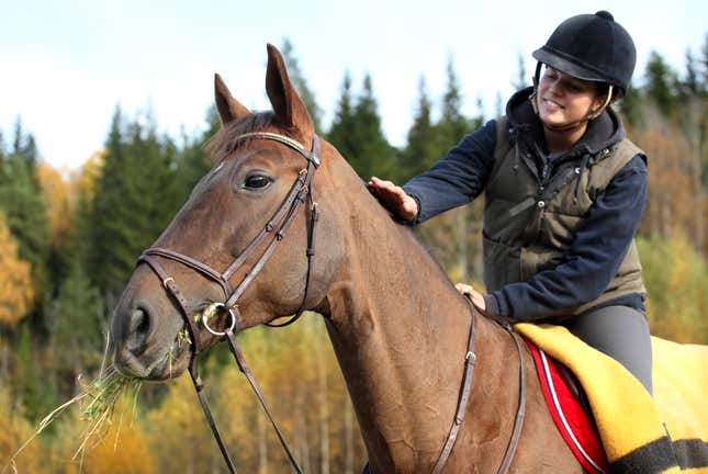 Image for article titled Equestrian Instinctively Feels Deep, Meaningless Connection With Horse