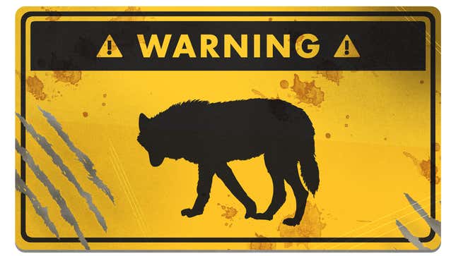 Image for article titled How to Survive a Wolf Attack