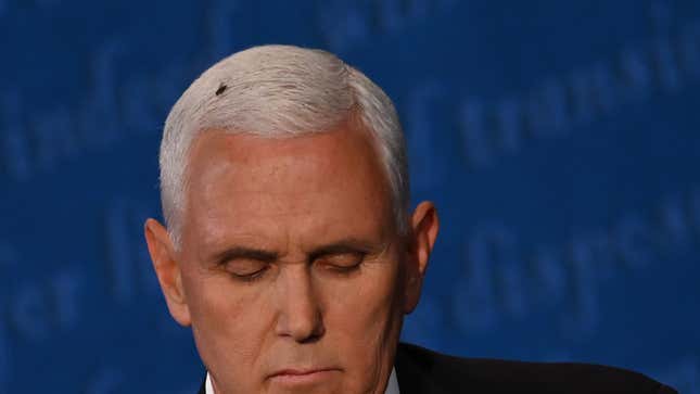 Image for article titled Lizzo&#39;s &quot;fly on Mike Pence&#39;s head&quot; costume is the only one we&#39;ll be needing this year, thanks