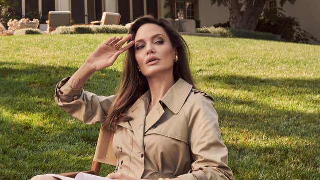 Image for article titled Angelina Jolie Also Thinks That Governments Are Doing a Crappy Job