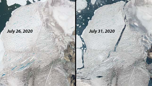 Image for article titled These Satellite Images Show the Final Days of Canada's Last Ice Shelf