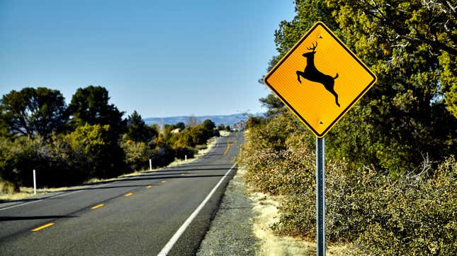 Image for article titled Go ahead, California, enjoy that roadkill