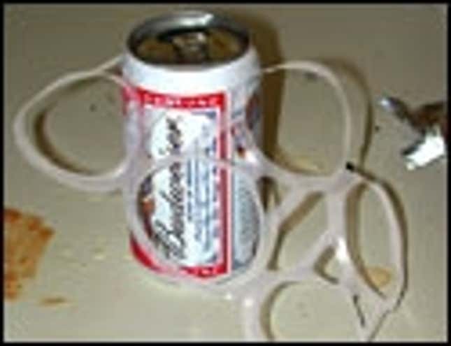 Image for article titled Last Beer In Six Pack Drunk With Plastic Rings Still Attached