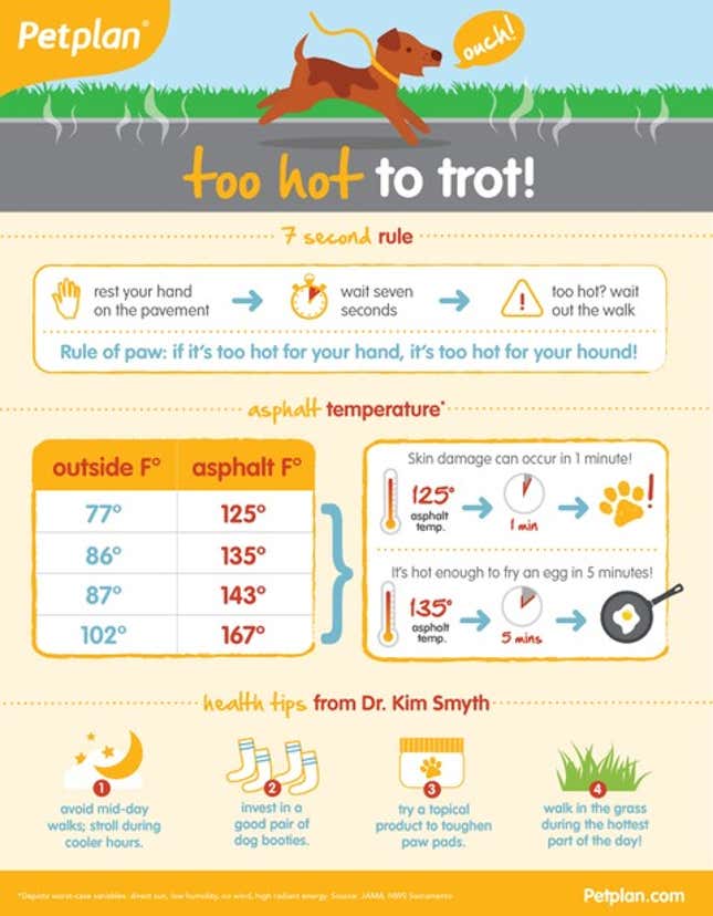 Know When It's Too Hot to Walk Your Dog