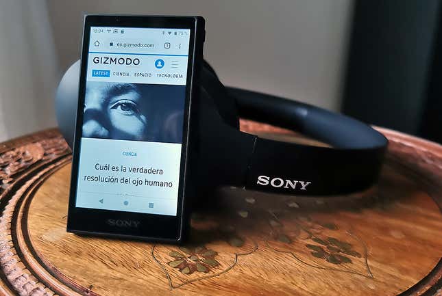 Even though it has a small screen, the NW-A105 is comfortable to use. You can even type on it.