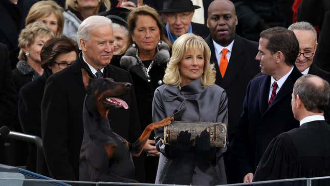 Image for article titled Stray Doberman Accidentally Sworn In As President After Putting Paw On Inaugural Bible