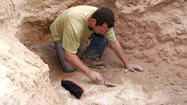 Image for article titled Archaeologists Uncover Greek Amphitheater Where First Prick Saved Seats