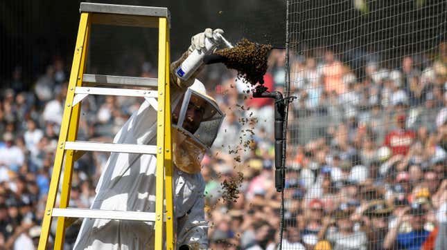 Image for article titled The Padres Killed A Lot Of Bees For Absolutely No Reason