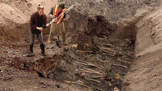 Image for article titled Excited Archaeologists Hit Mass Grave Jackpot