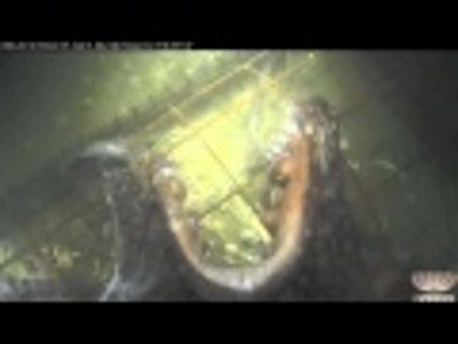 This 3D Underwater Camera Rig Records Renewed Life on a Canadian Reef