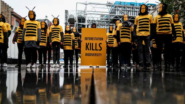 Demonstrators wearing bees masks and costumes demonstrate for biodiversity for the World Wide Fund for Nature (WWF) on May 4, 2019, in Paris.