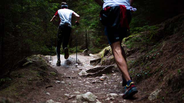 Image for article titled Why You Should Do Some of Your Running on Trails