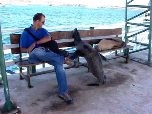 This Sea Lion Steals a Bench Seat from a Man and is Totally Not Sorry