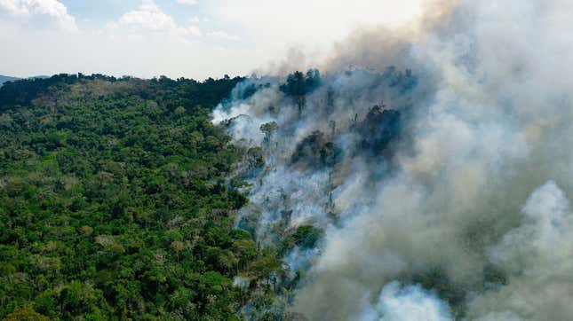 Aerial view of a burning area of Amazon rainforest reserve, south of Novo Progresso in Para state, on August 16, 2020.