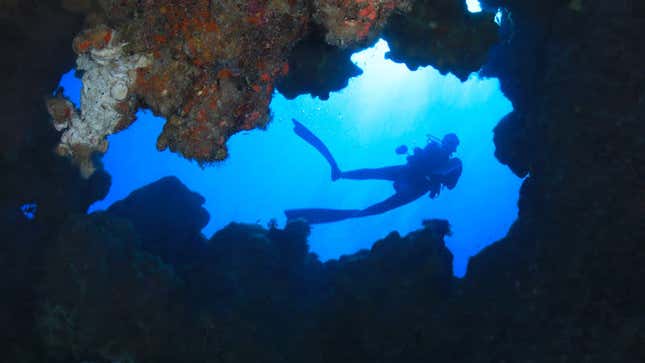 Imagen para el artículo titulado El planeta se enfrenta a condiciones oceánicas sin precedentes, según un nuevo e impactante estudio