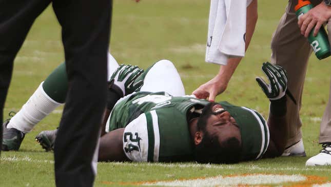 Image for article titled Rex Ryan Announces Darrelle Revis Has Best Torn ACL In NFL