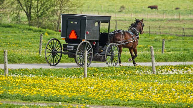 Image for article titled The Amish horse-and-buggy DUI, explained