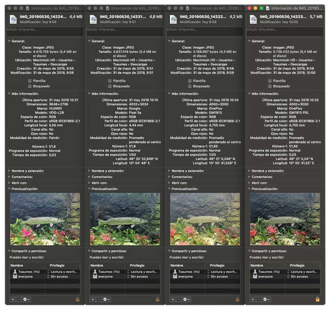 Imagen para el artículo titulado Hemos puesto a un inútil a sacar fotos con el Huawei P30 Pro, el OnePlus 7 Pro y el Pixel 3a. Este es el resultado