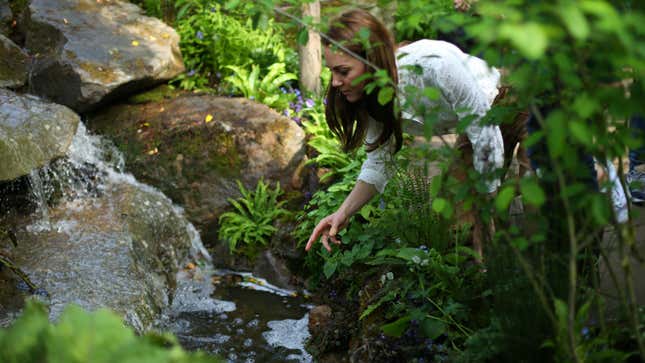 Image for article titled Here&#39;s Kate Middleton by a Babbling Brook