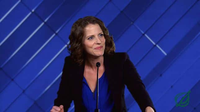 DNC Speech: Clinton Campaign Thanks Volunteers For Killing Millions Of Gnats In Hillary’s Bus