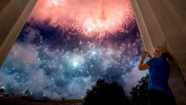 El día que 5.000 pájaros cayeron muertos del cielo por culpa de los fuegos artificiales