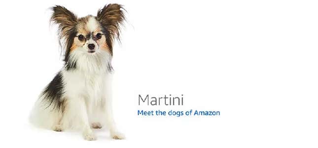 Image for article titled Amazon's Error Dogs, Ranked