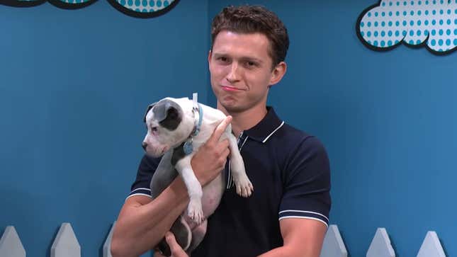 Tom Holland's Making It Really Hard to Honor My Apartment's 'No Dogs' Policy