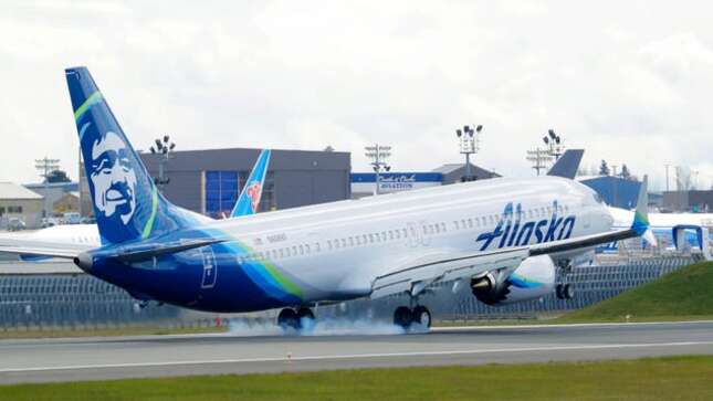 Un avión chocó contra un oso al aterrizar en Alaska