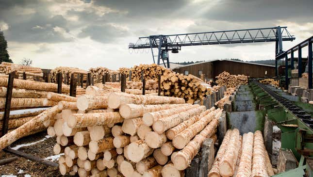 Image for article titled Logging Industry Announces That They Just Can’t Fucking Get Enough Of Logs