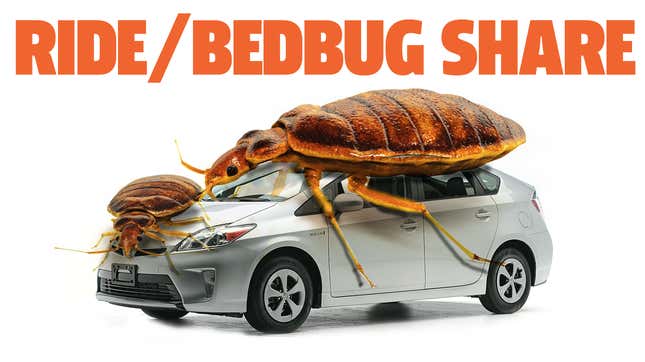 Image for article titled Dallas Exterminator Treats &#39;5 to 10&#39; Ride Share Cars A Week For Bed Bug Infestations