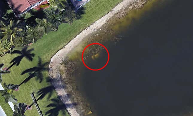 Imagen para el artículo titulado Google Earth revela los restos de un hombre desaparecido hace 22 años en un lago de Florida