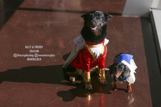 Image for article titled Our Favorite Cosplay From Fan Expo Dallas 2019