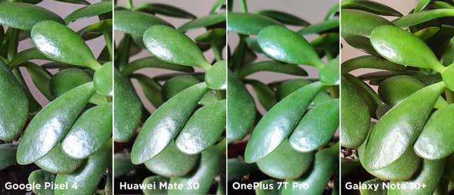 Imagen para el artículo titulado 11 cosas que aprendí tras sacar mil fotos con el Pixel 4, el Huawei Mate 30, el Galaxy Note10+ y el OnePlus 7T Pro
