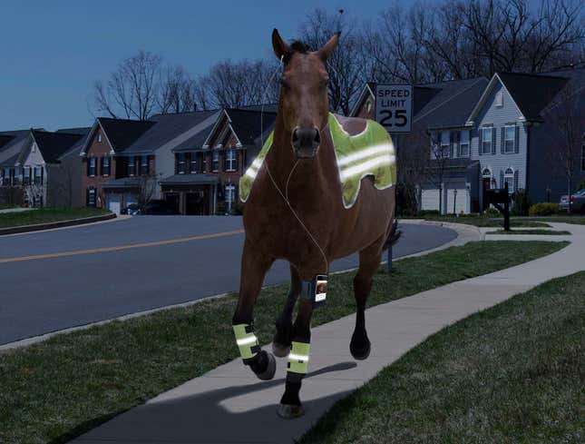 Image for article titled Horse Always Running Through Neighborhood Probably In This Year’s Kentucky Derby
