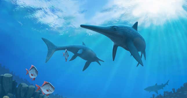 Artist’s impression of ichthyosaurs.