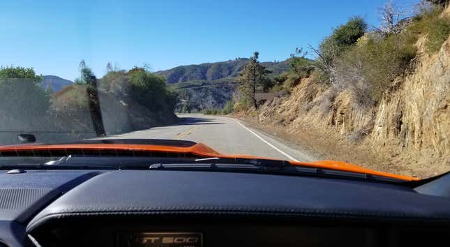 Image for article titled Ford Stuffed 20,000 HP Worth Of Ford Mustangs Into An Echoey LA Parking Garage And The Sound Was Unbelievable