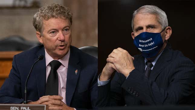 Image for article titled Dr. Fauci Knocked Sen. Rand Paul Back So Hard You’d Think He Was Paul’s Neighbor