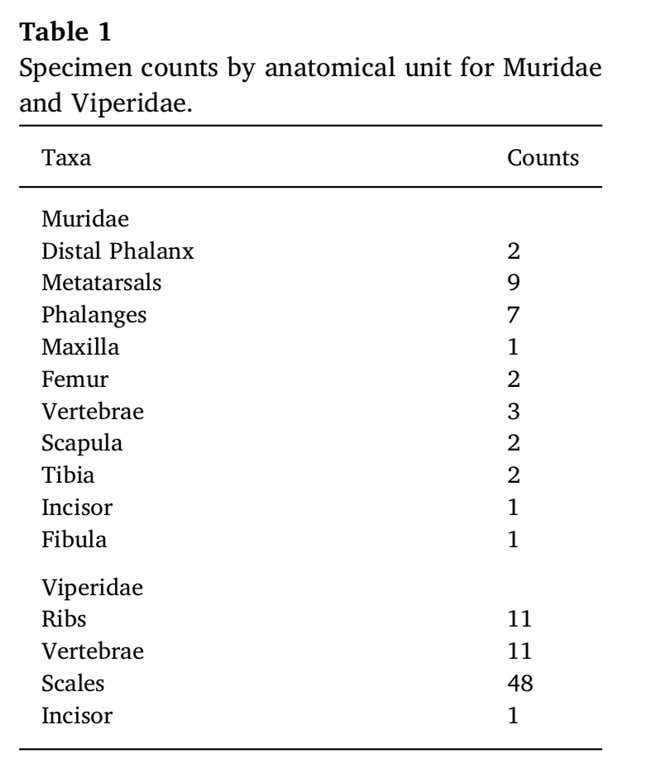 A chart listing the recovered elements of the small rodent (i.e. Muridae, some kind of mouse) and rattlesnake (Viperidae) found in the single poop sample.