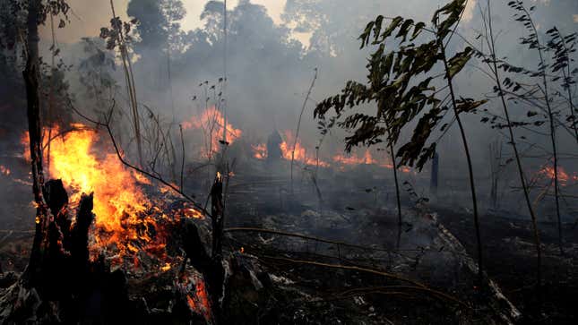 Fires burning in Jacunda National Forest, near the city of Porto Velho in the Vila Nova Samuel region of Brazil, on Aug. 26, 2019.